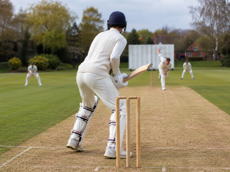 Cricket Batsman
